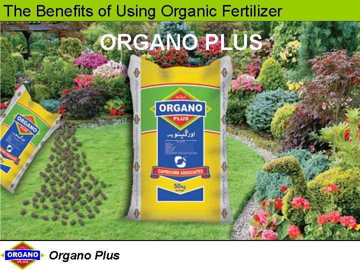 The Benefits of Using Organic Fertilizer ORGANO PLUS Organo Plus 