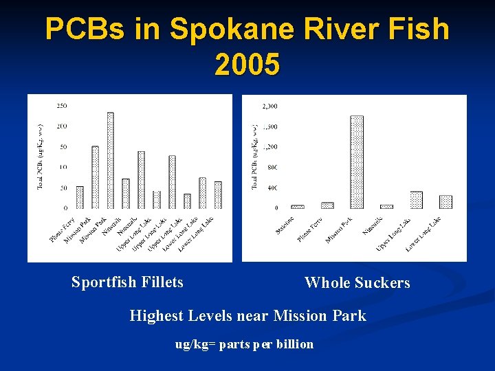 PCBs in Spokane River Fish 2005 Sportfish Fillets Whole Suckers Highest Levels near Mission
