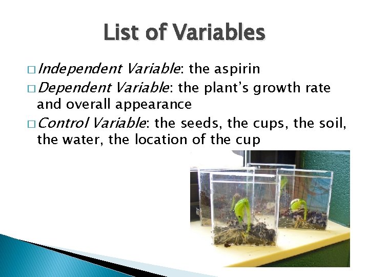 List of Variables � Independent Variable: the aspirin � Dependent Variable: the plant’s growth
