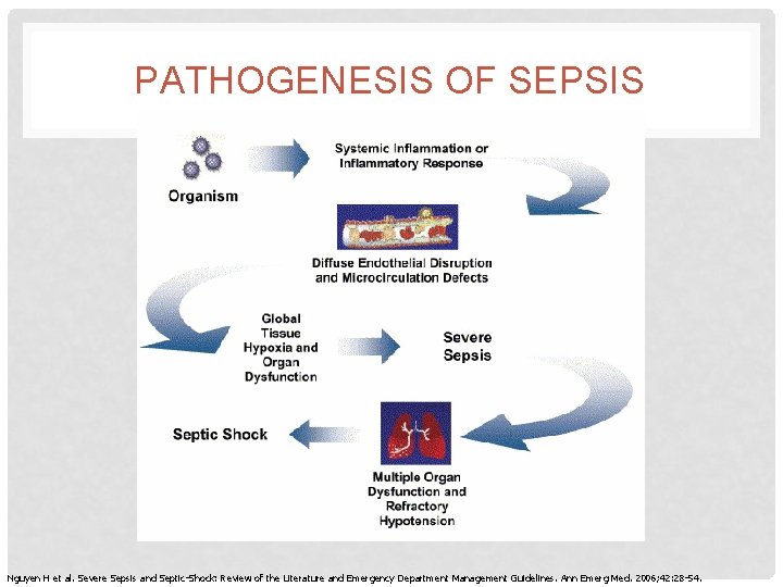 PATHOGENESIS OF SEPSIS Nguyen H et al. Severe Sepsis and Septic-Shock: Review of the