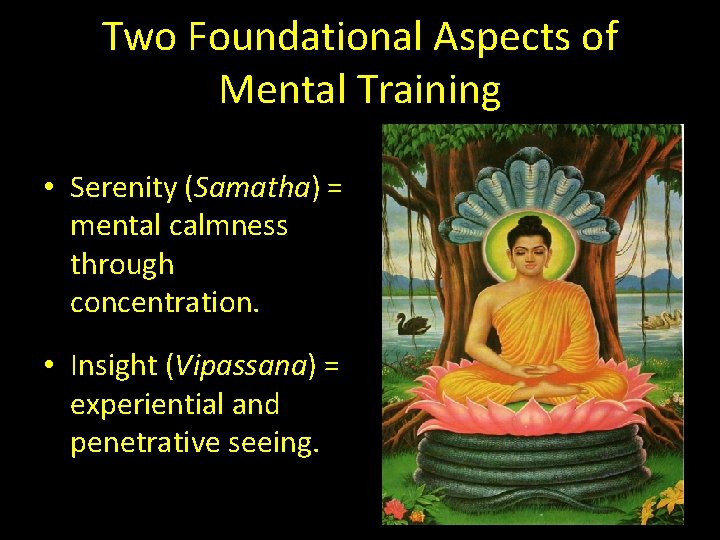Two Foundational Aspects of Mental Training • Serenity (Samatha) = mental calmness through concentration.