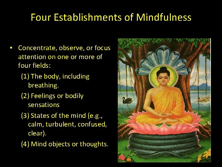 Four Establishments of Mindfulness • Concentrate, observe, or focus attention on one or more