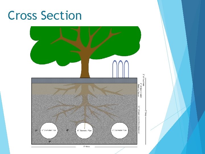 Cross Section 