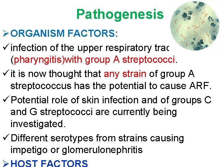 Pathogenesis Ø ORGANISM FACTORS: ü infection of the upper respiratory tract (pharyngitis)with group A