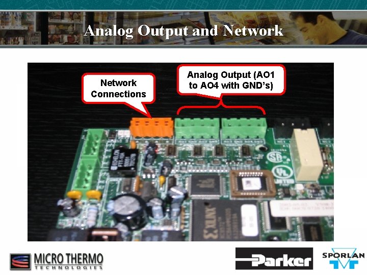 Analog Output and Network Connections Analog Output (AO 1 to AO 4 with GND’s)