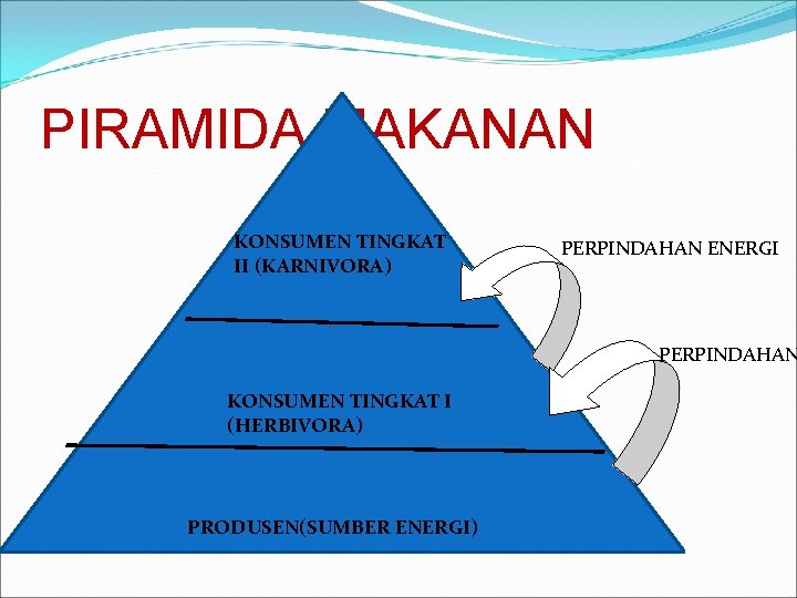 PIRAMIDA MAKANAN KONSUMEN TINGKAT II (KARNIVORA) PERPINDAHAN ENERGI PERPINDAHAN KONSUMEN TINGKAT I (HERBIVORA) PRODUSEN(SUMBER