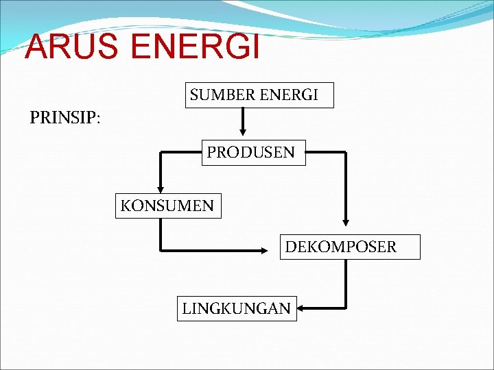 ARUS ENERGI SUMBER ENERGI PRINSIP: PRODUSEN KONSUMEN DEKOMPOSER LINGKUNGAN 