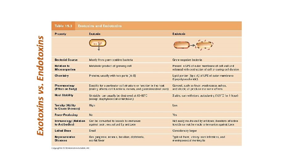 Exotoxins vs. Endotoxins 