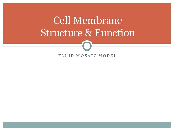 Cell Membrane Structure & Function FLUID MOSAIC MODEL 