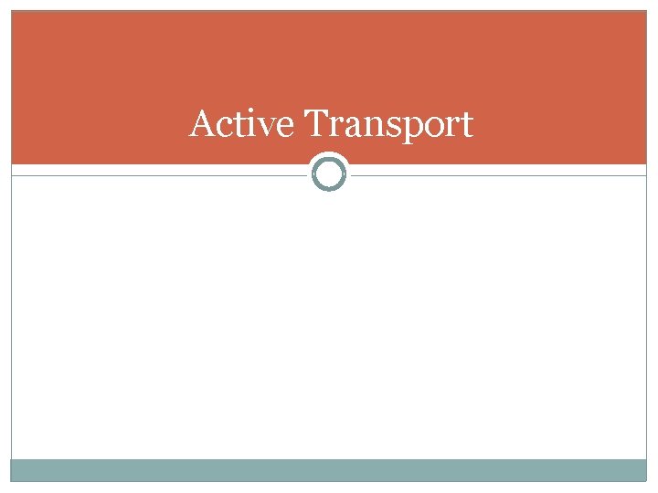 Active Transport 