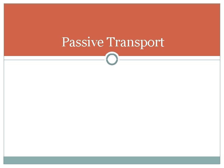 Passive Transport 