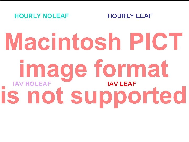 HOURLY NOLEAF IAV NOLEAF Hourly HOURLY LEAF IAV LEAF 