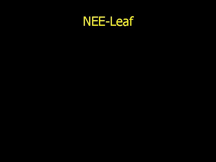 NEE-Leaf 