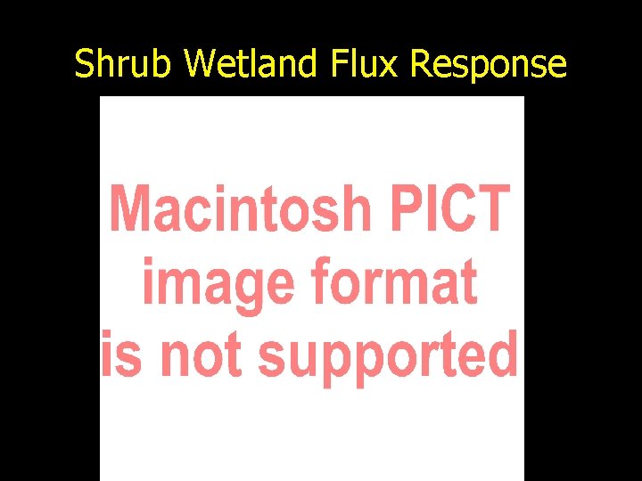 Shrub Wetland Flux Response 