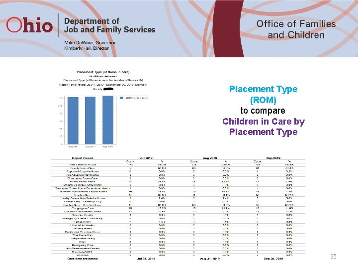 Placement Type (ROM) to compare Children in Care by Placement Type 35 