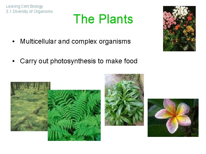 Leaving Cert Biology 3 1 Diversity of Organisms
