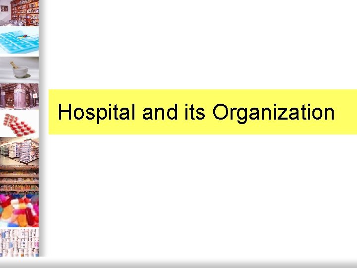 Hospital and its Organization 