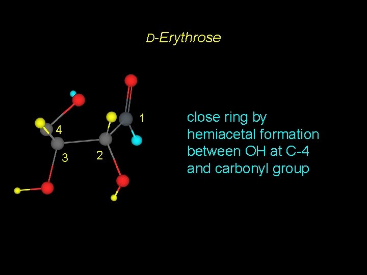 D-Erythrose 1 4 3 2 close ring by hemiacetal formation between OH at C-4