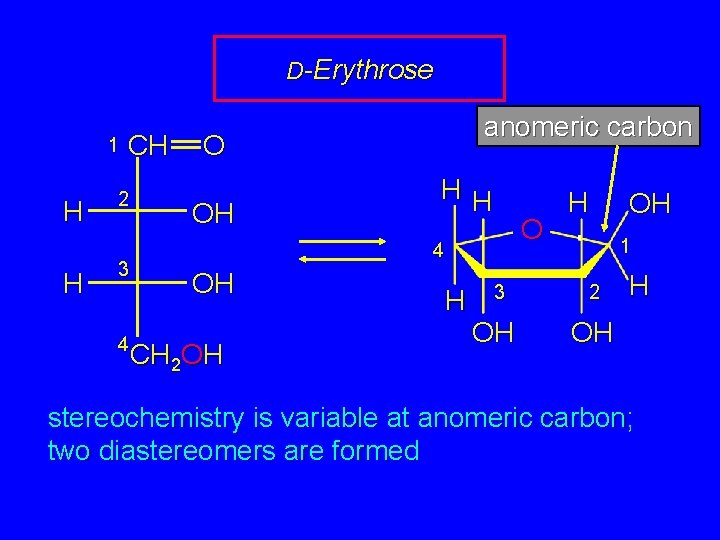 D-Erythrose 1 H H CH 2 3 4 anomeric carbon O OH HH O