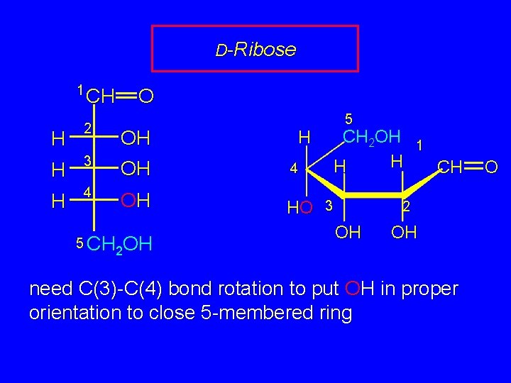 D-Ribose 1 CH O CH H 2 OH CH 2 OH H H 3