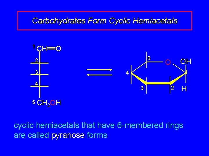 Carbohydrates Form Cyclic Hemiacetals 1 CH O 5 2 3 OH O 1 4