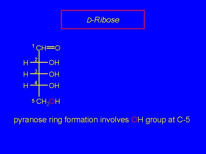 D-Ribose 1 CH O H 2 OH H 3 OH H 4 OH 5