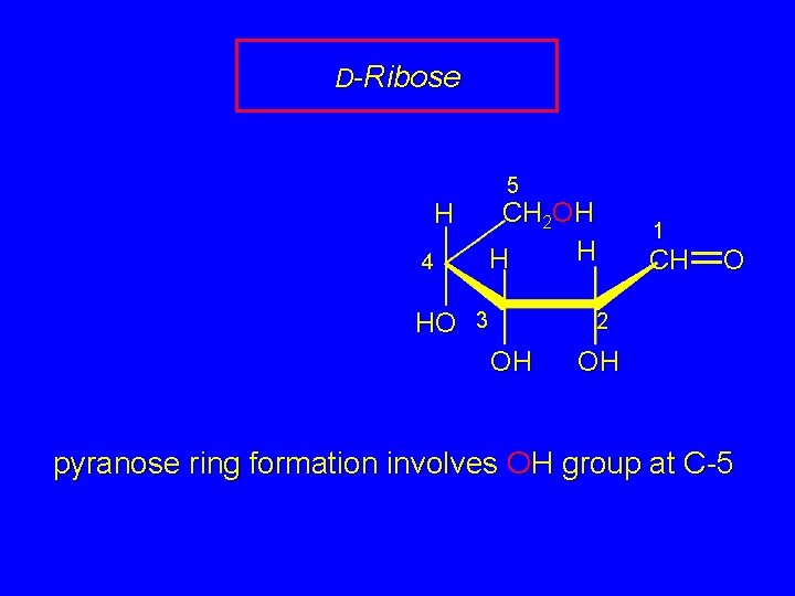 D-Ribose 5 CH 2 OH H 4 HO 3 1 CH O 2 OH