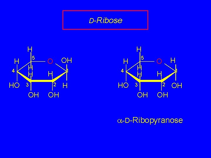 D-Ribose H H 4 HO 5 H H 3 OH H O OH H