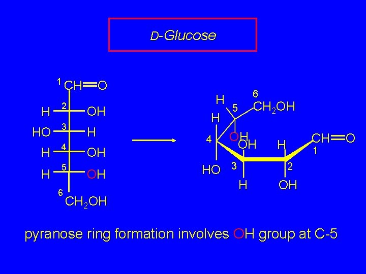 D-Glucose 1 CH O H 2 OH HO 3 H H 4 H 5