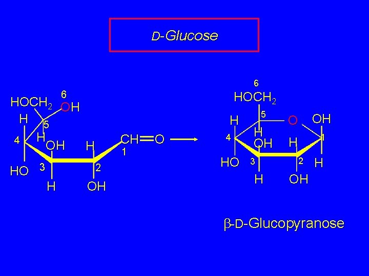 D-Glucose 6 6 HOCH 2 OH H 5 H 4 OH H HO 3
