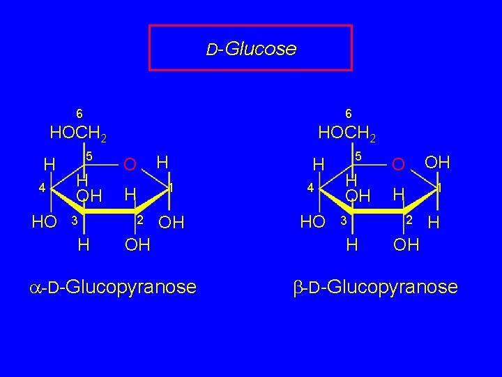 D-Glucose 6 6 HOCH 2 H 4 HO 5 H OH 3 H O