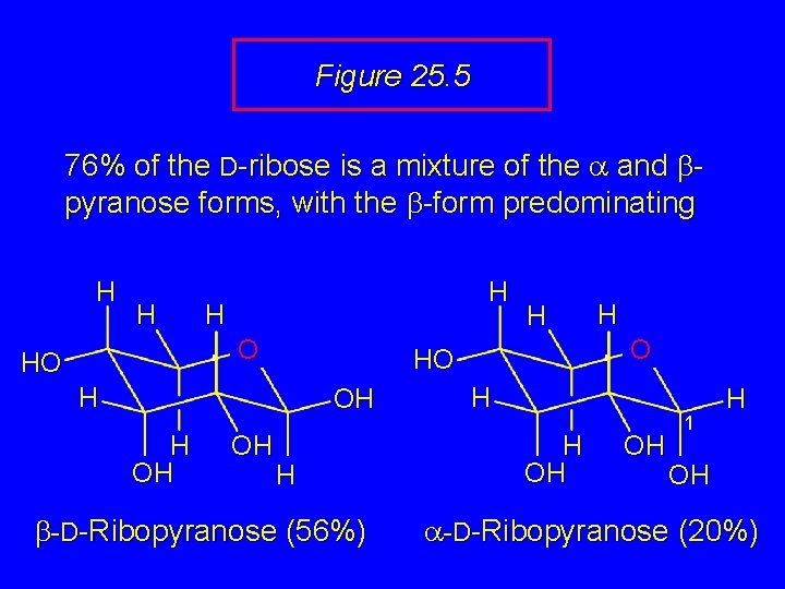 Figure 25. 5 76% of the D-ribose is a mixture of the a and