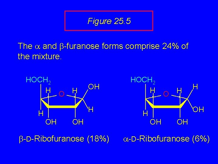 Figure 25. 5 The a and b-furanose forms comprise 24% of the mixture. HOCH