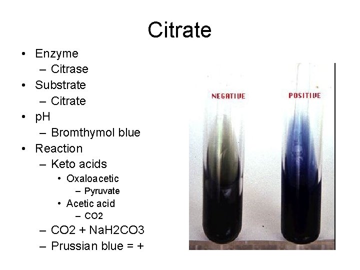 Citrate • Enzyme – Citrase • Substrate – Citrate • p. H – Bromthymol