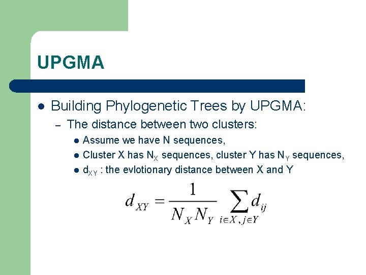 UPGMA l Building Phylogenetic Trees by UPGMA: – The distance between two clusters: l