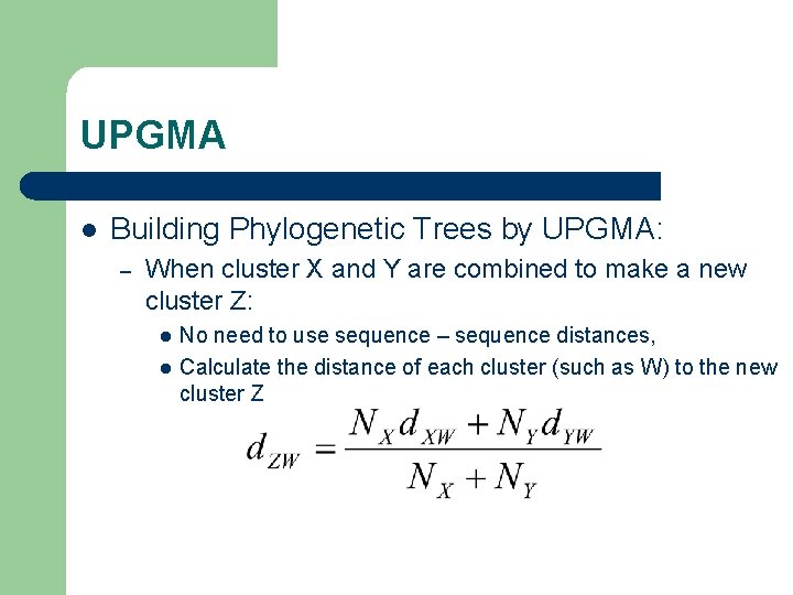 UPGMA l Building Phylogenetic Trees by UPGMA: – When cluster X and Y are