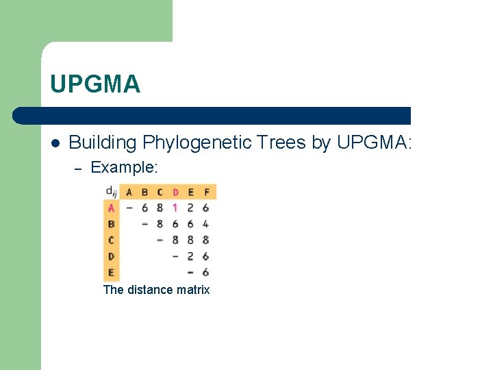 UPGMA l Building Phylogenetic Trees by UPGMA: – Example: The distance matrix 