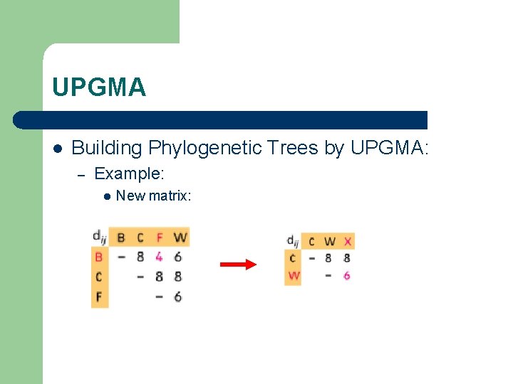UPGMA l Building Phylogenetic Trees by UPGMA: – Example: l New matrix: 