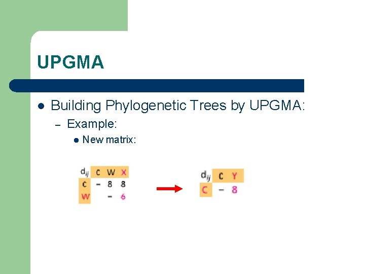 UPGMA l Building Phylogenetic Trees by UPGMA: – Example: l New matrix: 