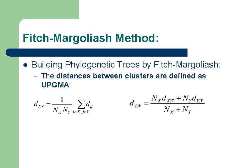 Fitch-Margoliash Method: l Building Phylogenetic Trees by Fitch-Margoliash: – The distances between clusters are