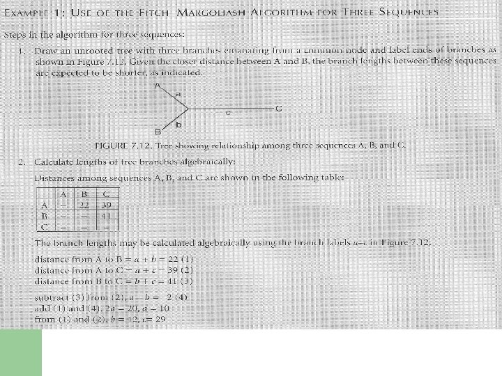 Fitch-Margoliash Method: 