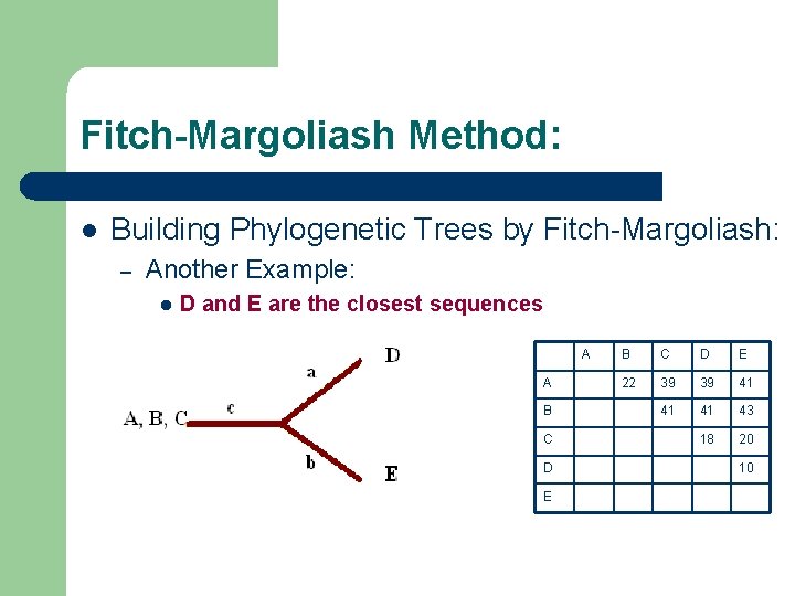 Fitch-Margoliash Method: l Building Phylogenetic Trees by Fitch-Margoliash: – Another Example: l D and