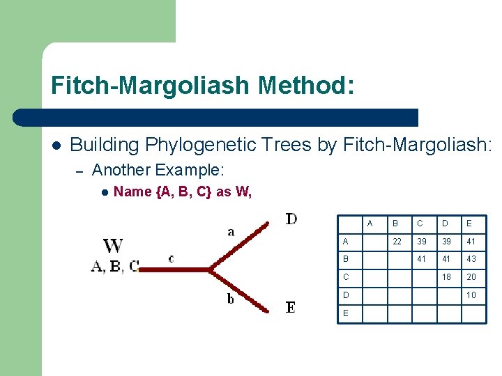 Fitch-Margoliash Method: l Building Phylogenetic Trees by Fitch-Margoliash: – Another Example: l Name {A,