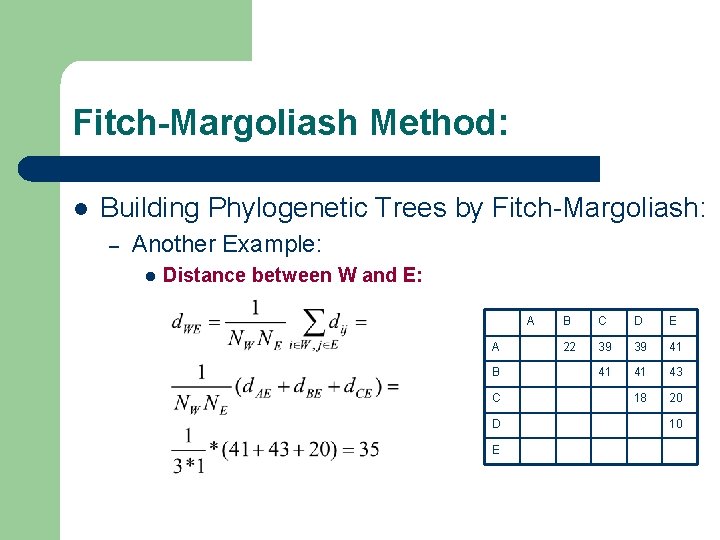 Fitch-Margoliash Method: l Building Phylogenetic Trees by Fitch-Margoliash: – Another Example: l Distance between