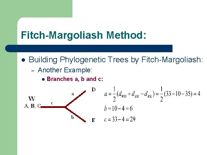 Fitch-Margoliash Method: l Building Phylogenetic Trees by Fitch-Margoliash: – Another Example: l Branches a,