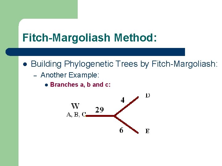 Fitch-Margoliash Method: l Building Phylogenetic Trees by Fitch-Margoliash: – Another Example: l Branches a,