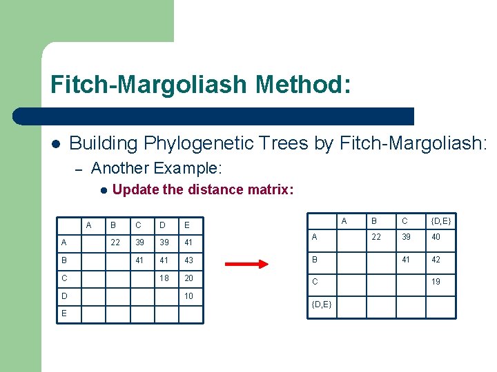 Fitch-Margoliash Method: Building Phylogenetic Trees by Fitch-Margoliash: l – Another Example: l A A