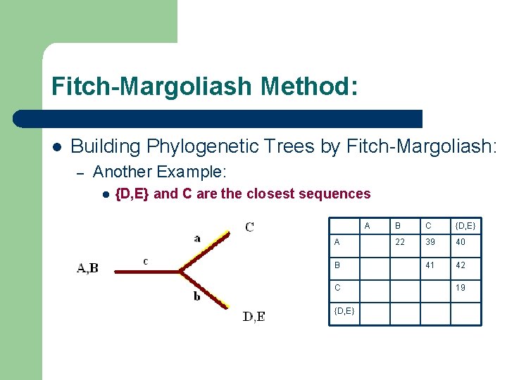 Fitch-Margoliash Method: l Building Phylogenetic Trees by Fitch-Margoliash: – Another Example: l {D, E}