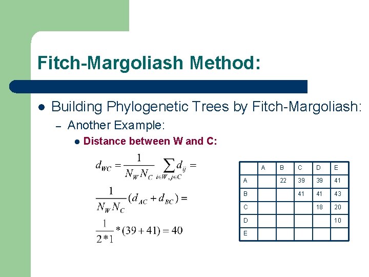 Fitch-Margoliash Method: l Building Phylogenetic Trees by Fitch-Margoliash: – Another Example: l Distance between