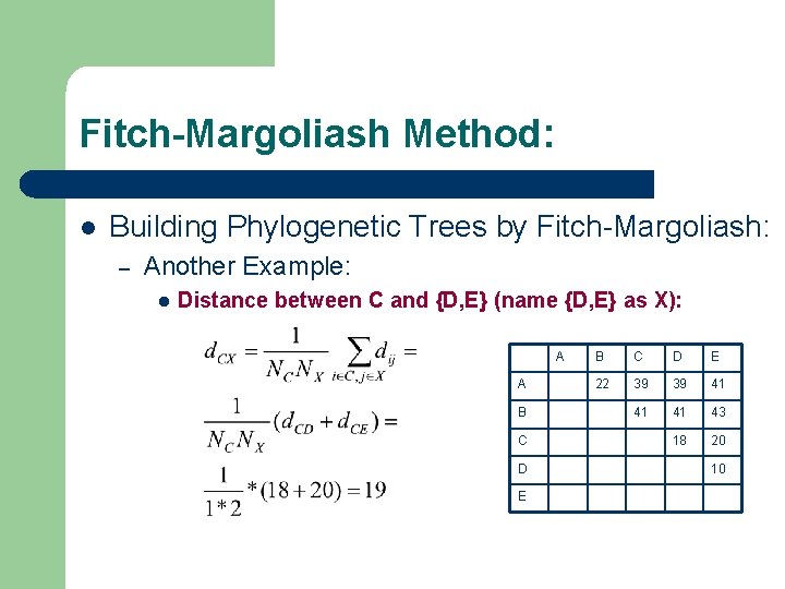 Fitch-Margoliash Method: l Building Phylogenetic Trees by Fitch-Margoliash: – Another Example: l Distance between